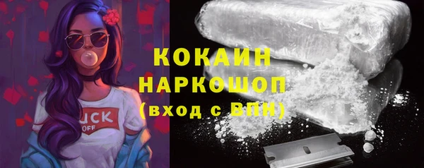 прущие грибы Заводоуковск