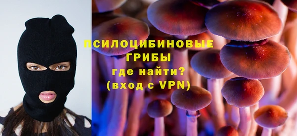 ешки Зеленодольск