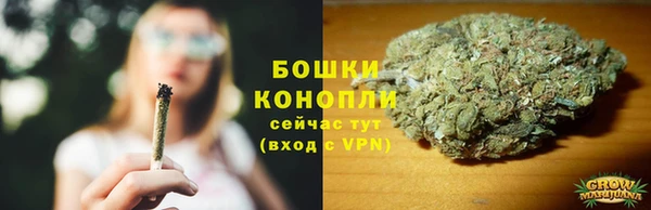прущие грибы Заводоуковск