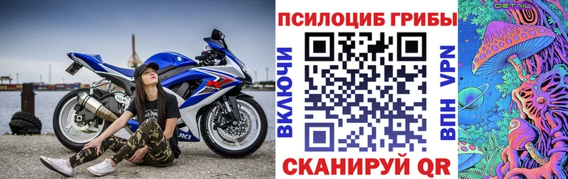 Купить закладки  Красноуральск  Галлюциногенные грибы Psilocybe 